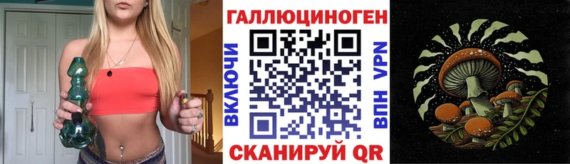 МЕГА зеркало  Лыткарино  Псилоцибиновые грибы GOLDEN TEACHER 