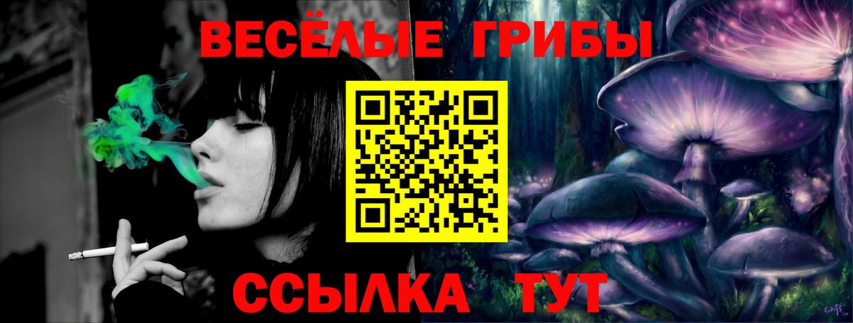 COCAIN  ГАШИШ  Лыткарино  МЕФ кристаллы  Купить наркотик  ГАШИШ  Вход с VPN  Каннабис  Канабис 