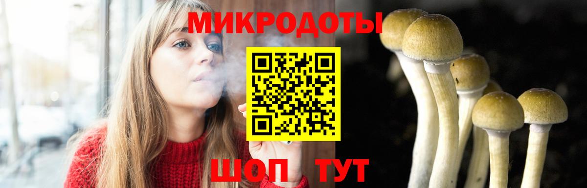 Лыткарино  Псилоцибиновые грибы мицелий  Вход с VPN 